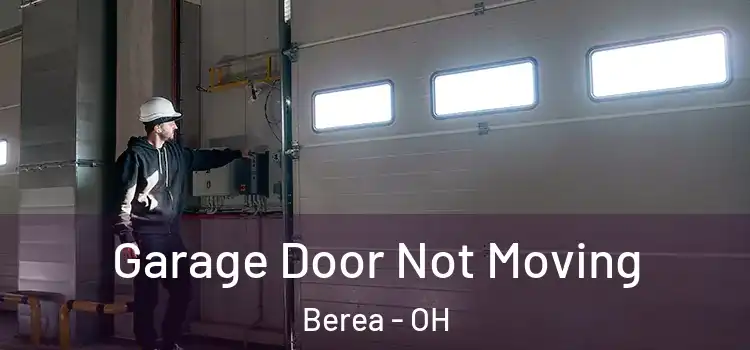  Garage Door Not Moving Berea - OH