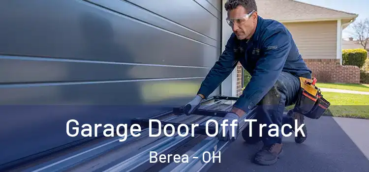  Garage Door Off Track Berea - OH