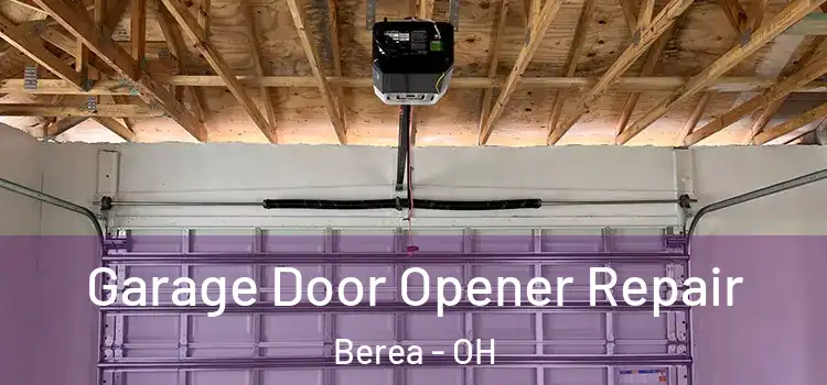  Garage Door Opener Repair Berea - OH