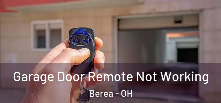  Garage Door Remote Not Working Berea - OH