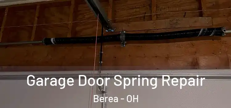  Garage Door Spring Repair Berea - OH