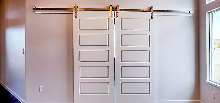 Glass Barn Door with Installation Hardware Kit Berea
